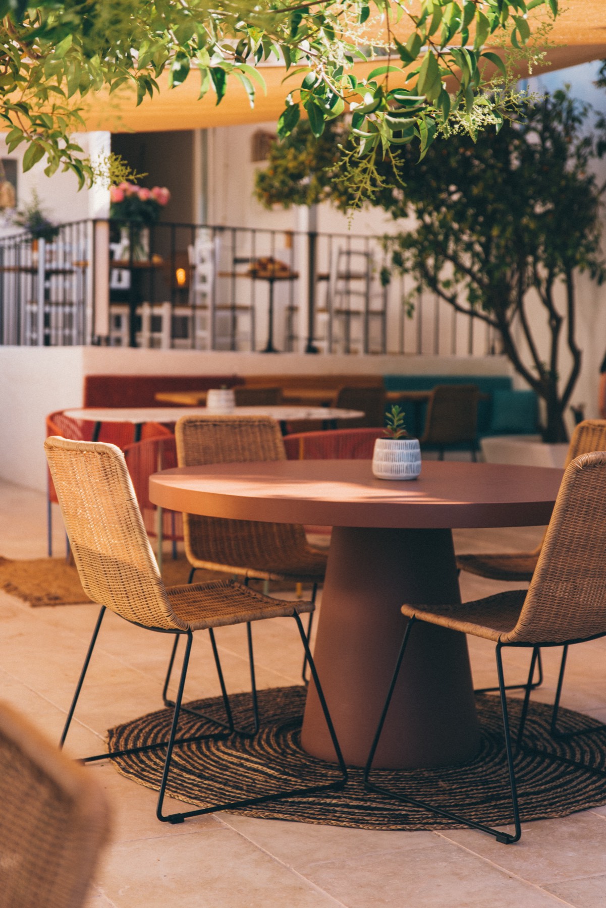 Picotte Provence — la terrasse du restaurant, à l'ombre de l'arbre